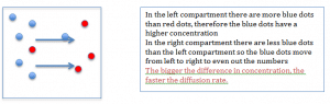 Diffusion