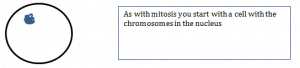 Meiosis