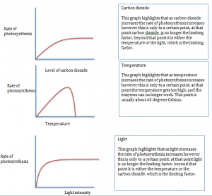 Rate limiting graphs 