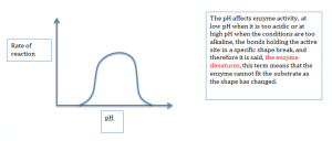 Rate of reaction