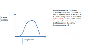 Rate of reaction 2